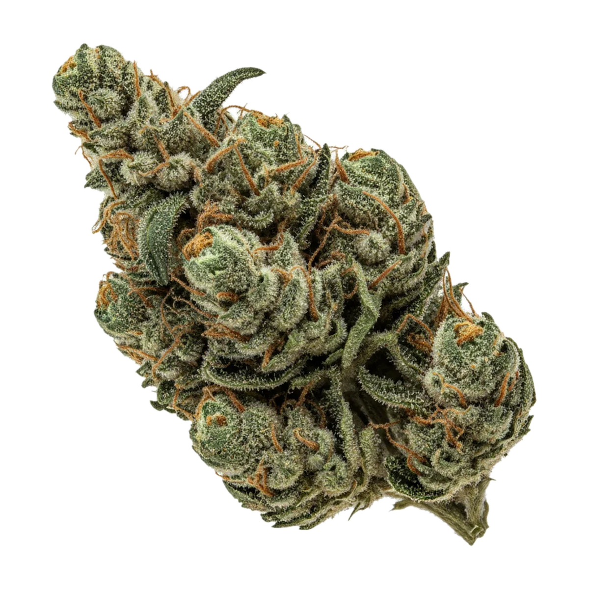 KI-generierte Illustration einer Cannabisblüte, zeigt nicht die tatsächliche Charge – Luana 24/1 Ape "Sour Ape"