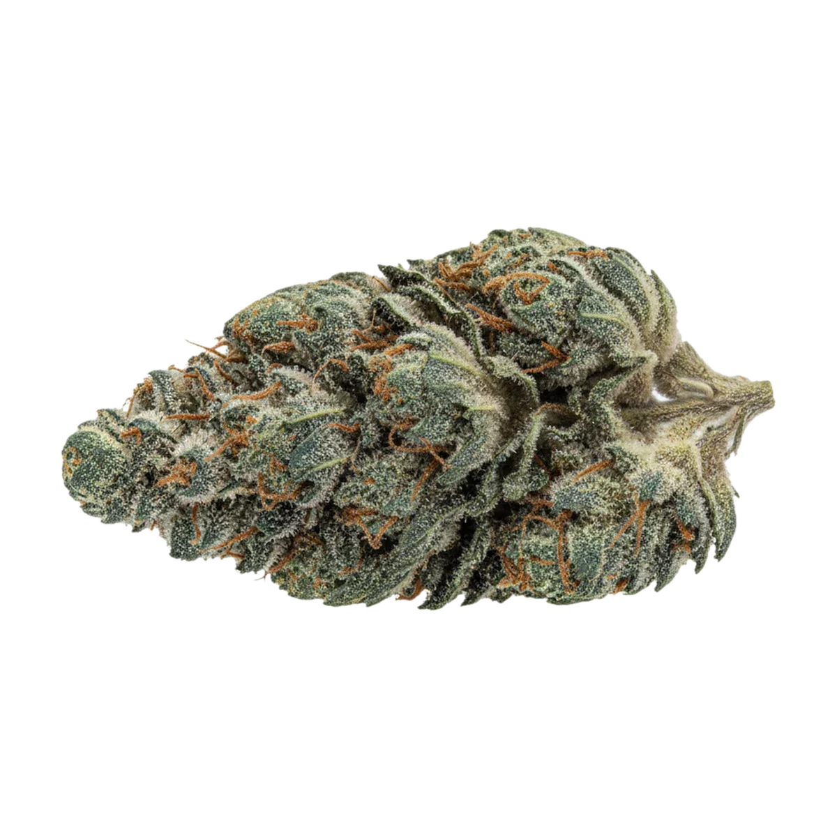 KI-generierte Illustration einer Cannabisblüte, zeigt nicht die tatsächliche Charge – Luana Bunatic "Donny B"
