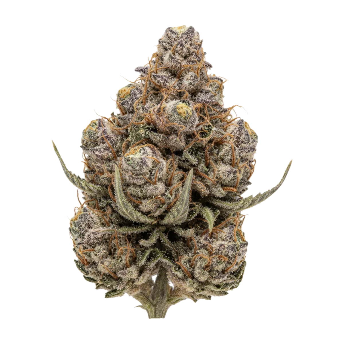 KI-generierte Illustration einer Cannabisblüte, zeigt nicht die tatsächliche Charge – Barongo 24/1 BC "Black Caviar"