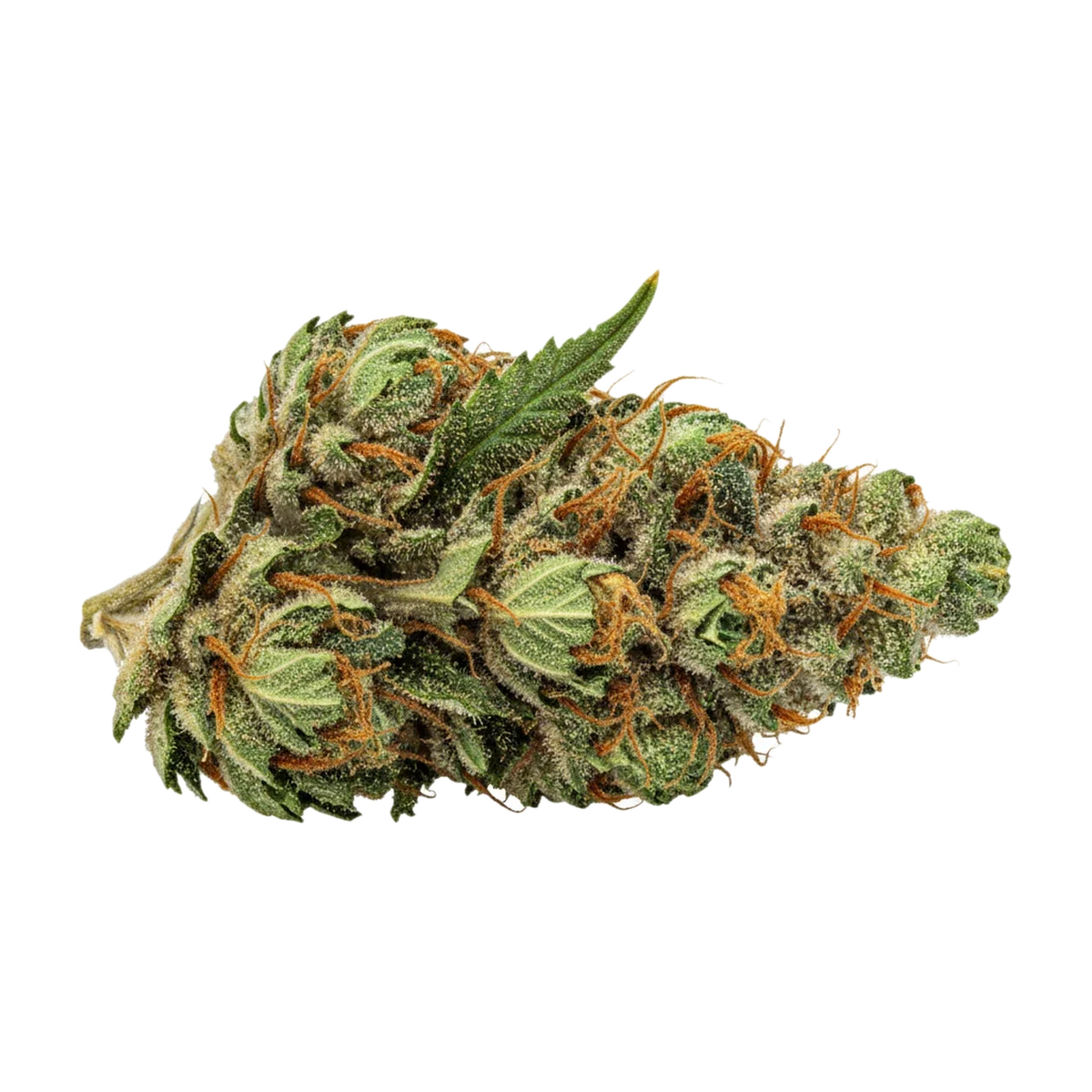 KI-generierte Illustration einer Cannabisblüte, zeigt nicht die tatsächliche Charge – BLAYZ 28/1 HM "Hawaiian Marker"