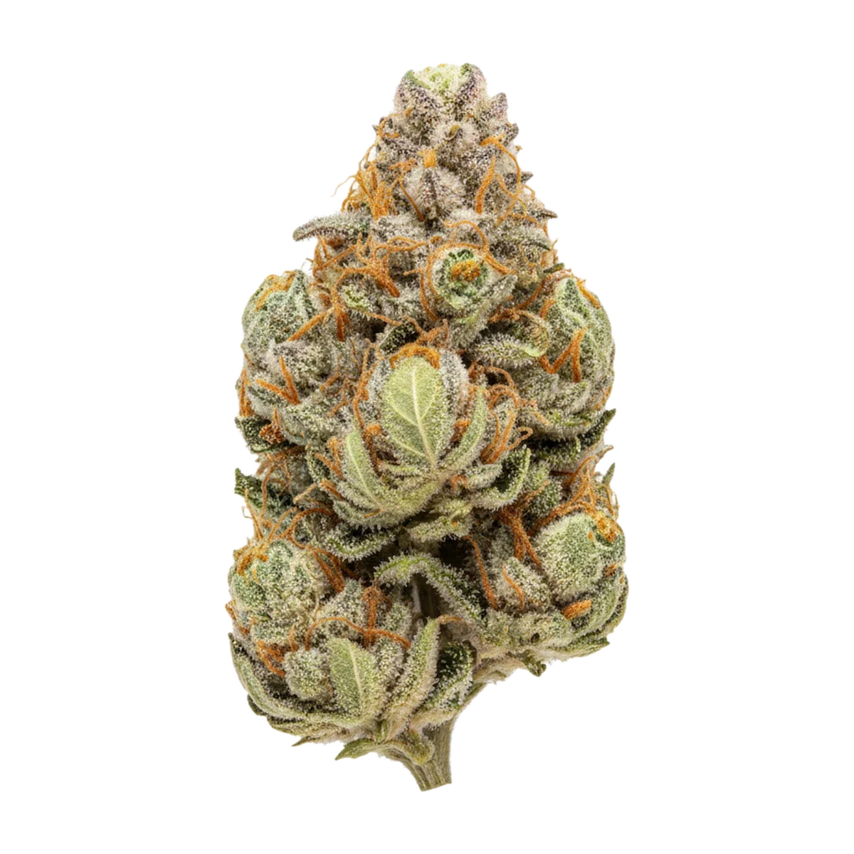 KI-generierte Illustration einer Cannabisblüte, zeigt nicht die tatsächliche Charge – Origine Nature 32/1 CA MED "Medellin"