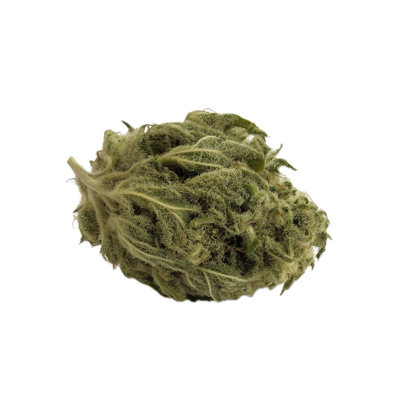 Adrex 22/1 CKD "Cookies Dough"