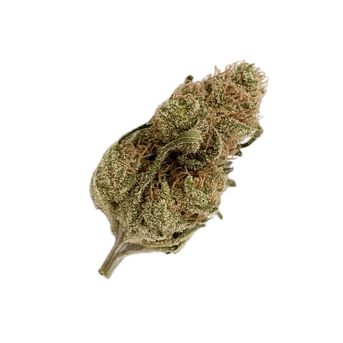 UPSTATE 28/1 GMZ "GMO Skittlez"