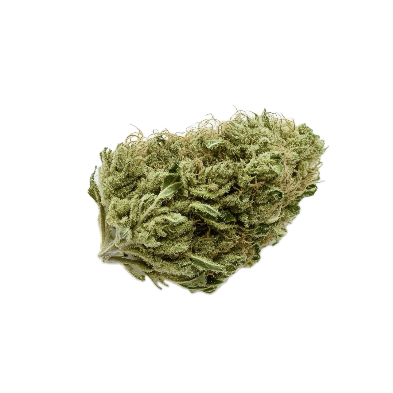 Nice 27/1 "Cocoa Bomba"