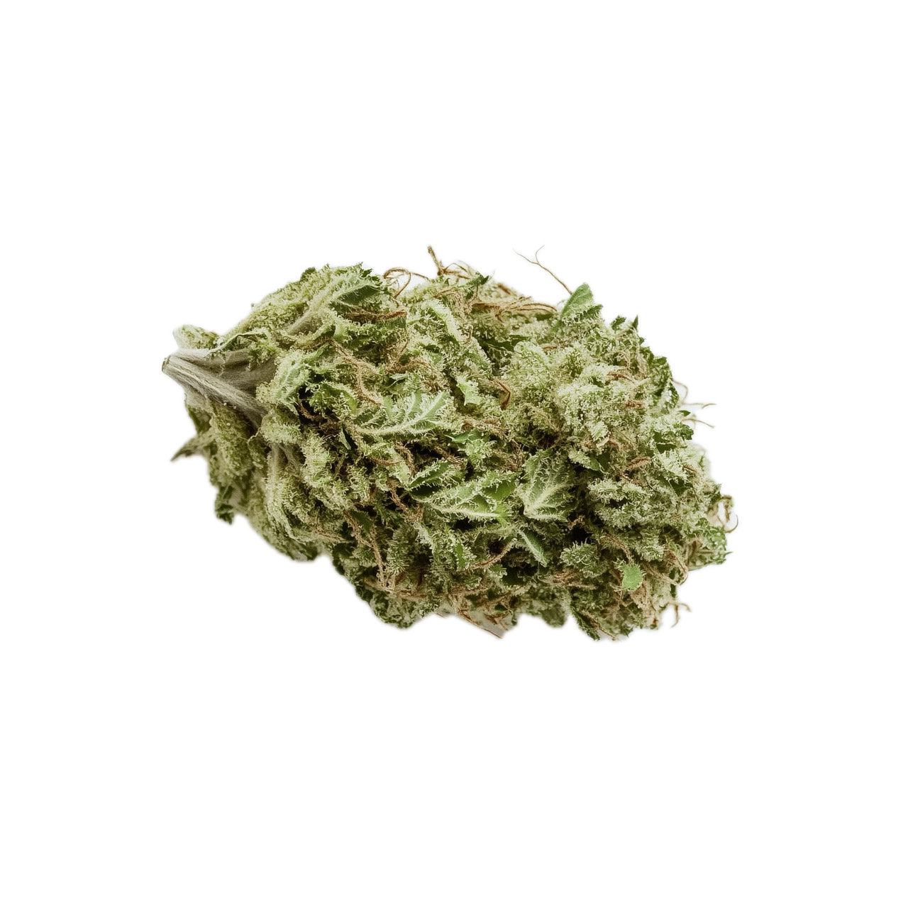 420 Natural 14/1 TRP "Tropicana Cookies"