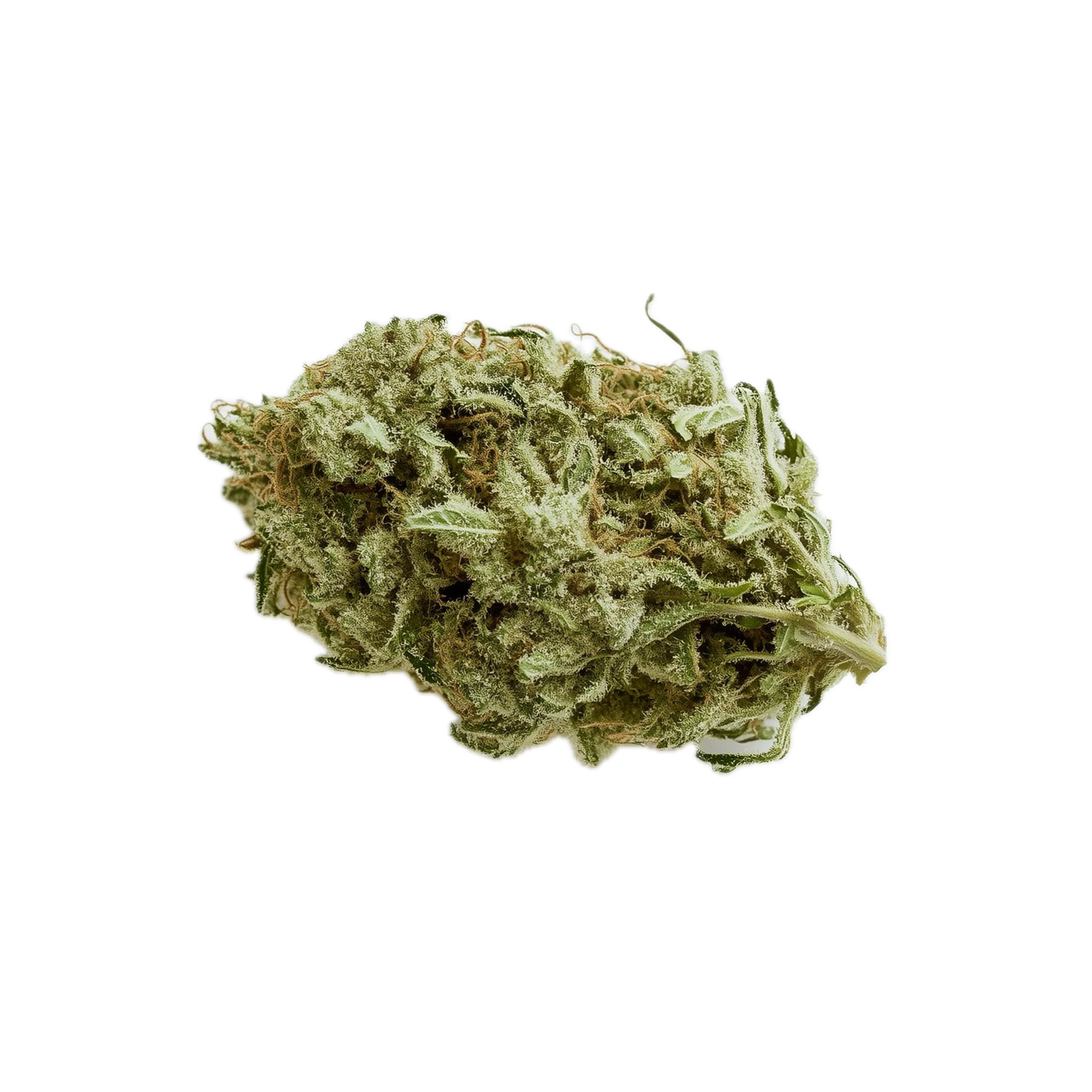 Luana 16/1 White "White Herer"