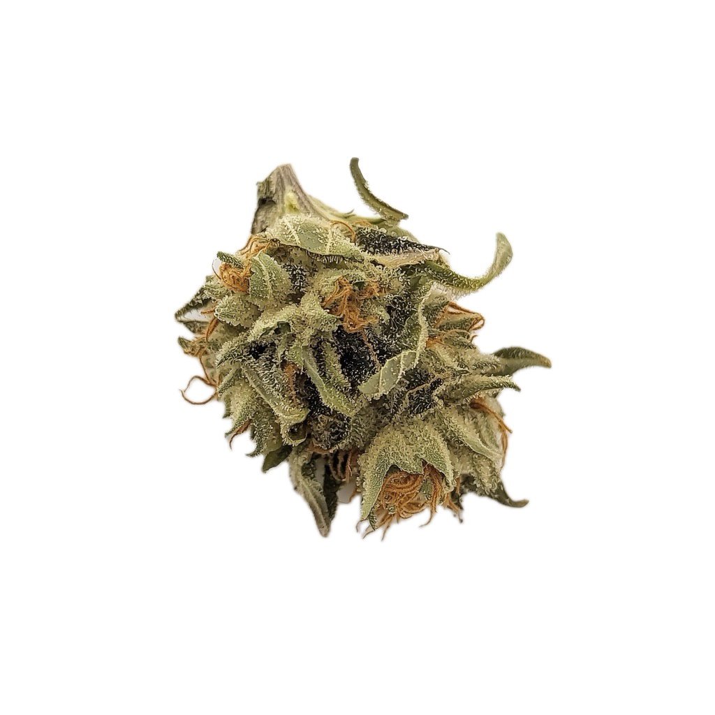 420 Balanced Basic PT 7/7 SLG "Super Lemon G"