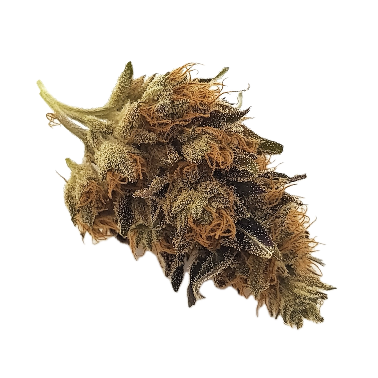 Pedanios 22/1 "Ghost Train Haze"