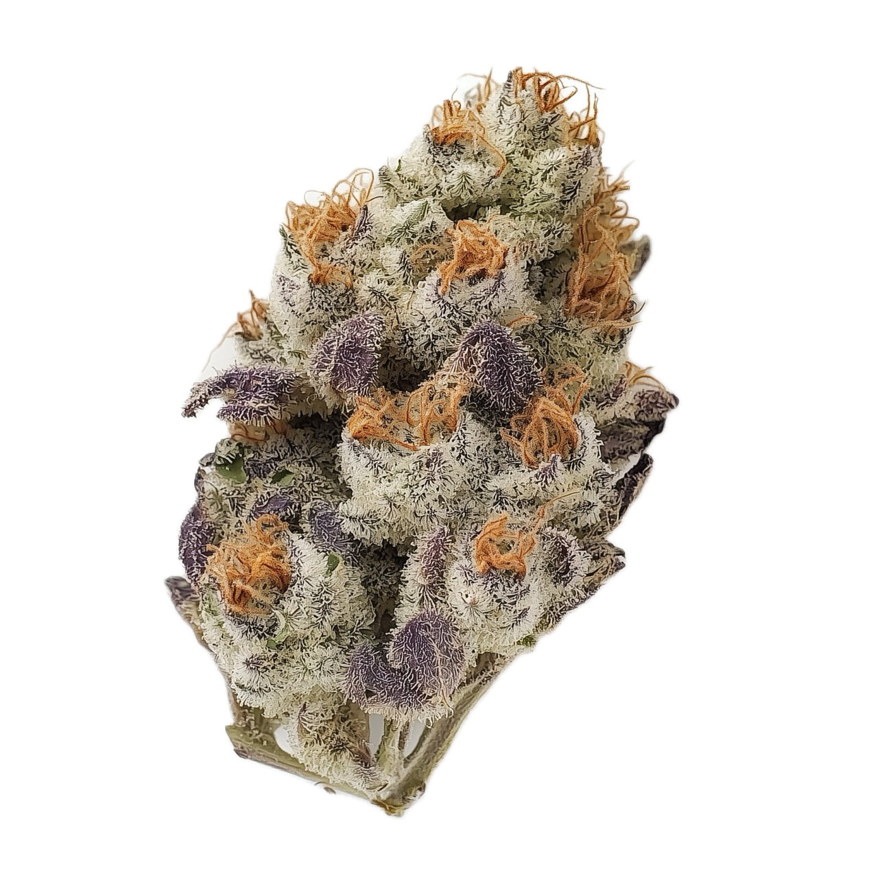 Cannamedical Indica Classic DK 20/1 "Sky Berry Kush"