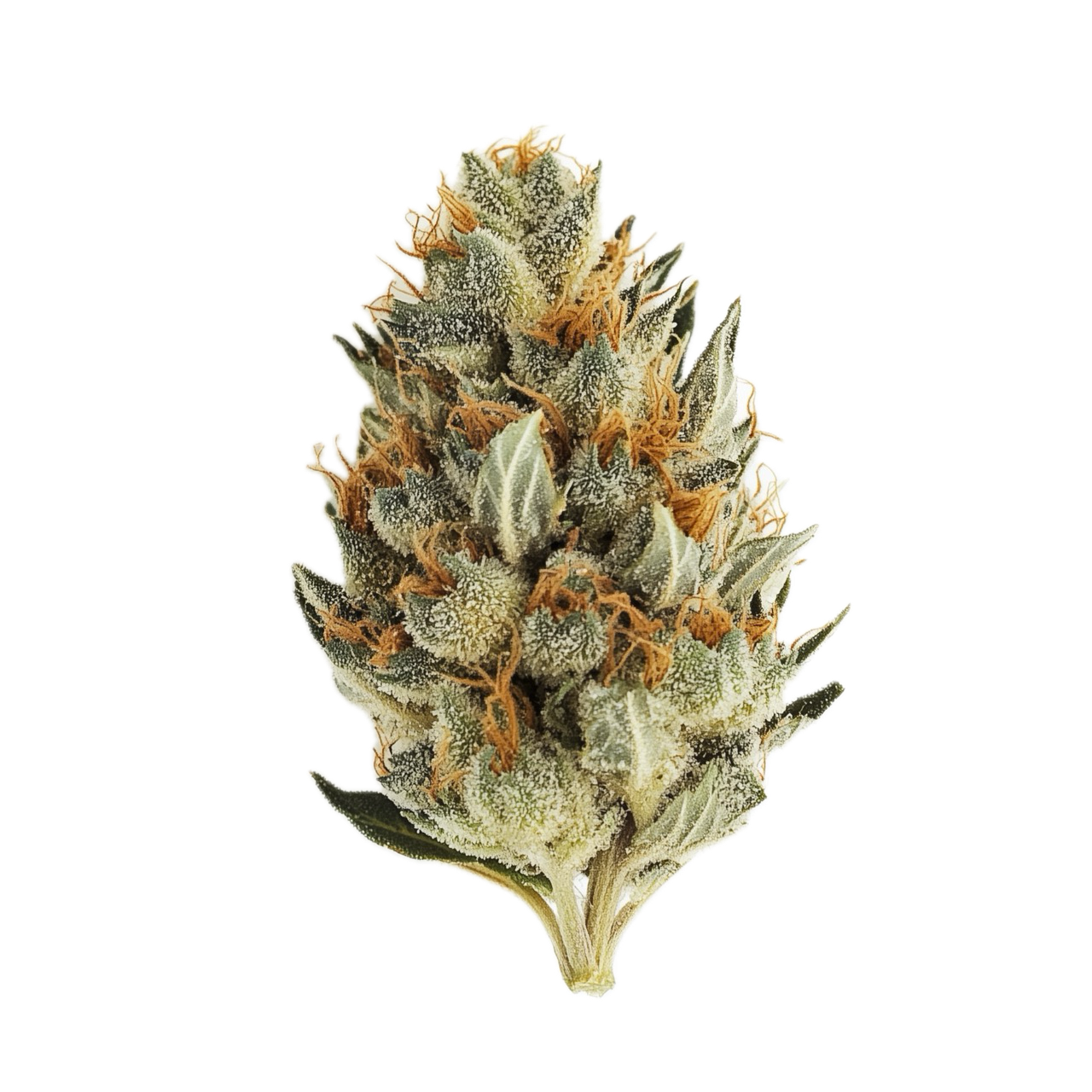 Barongo 30/1 KM "Kush Mintz"