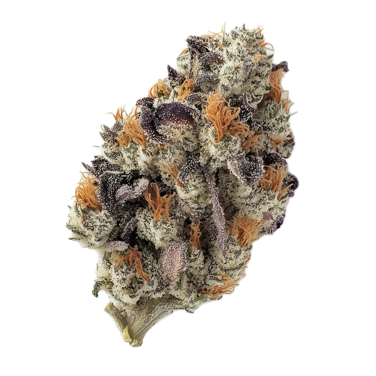 420 Evolution 30/1 CA FFC "Frosted Fruit Cake"