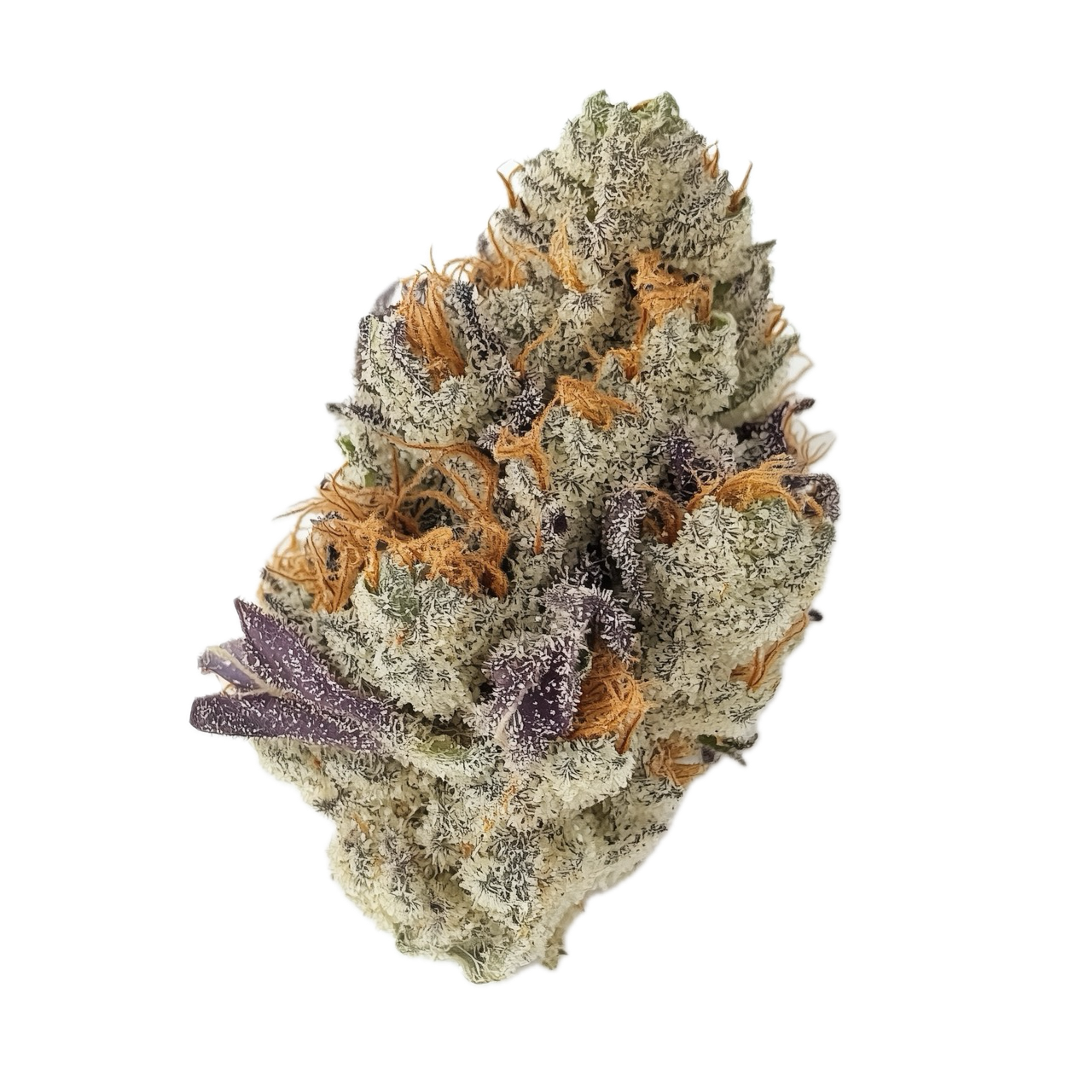 420 Evolution 27/1 FLM "Frozen Lemon Mints