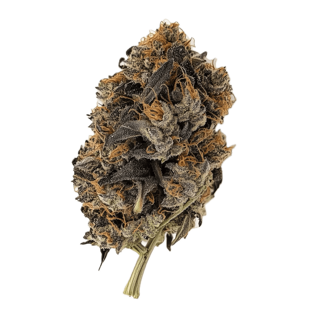 Huala 25/1 KBK "Kebab Kush"
