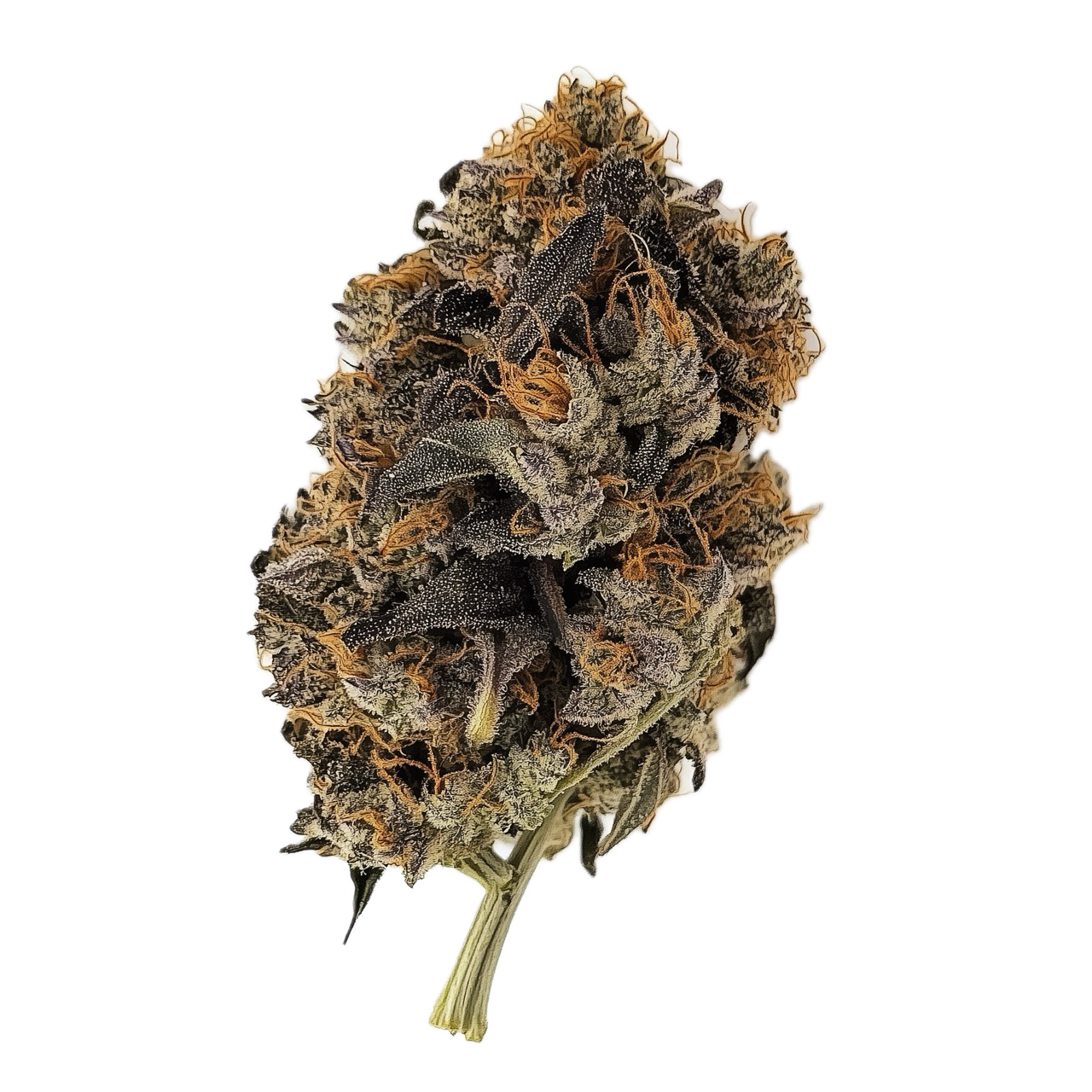 PHCANN Exotics 30/1 "Amber"