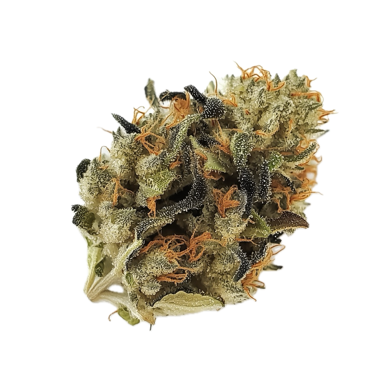 avaay 32/1 AHC "Amnesia Haze Cake"