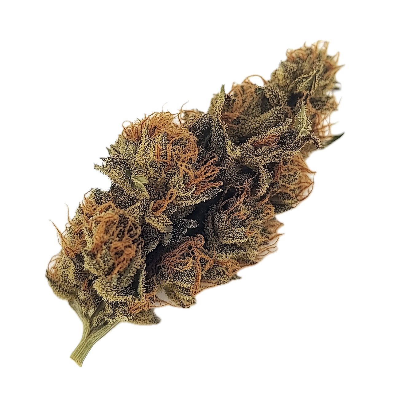 avaay 24/1 KK "Khalifa Kush"