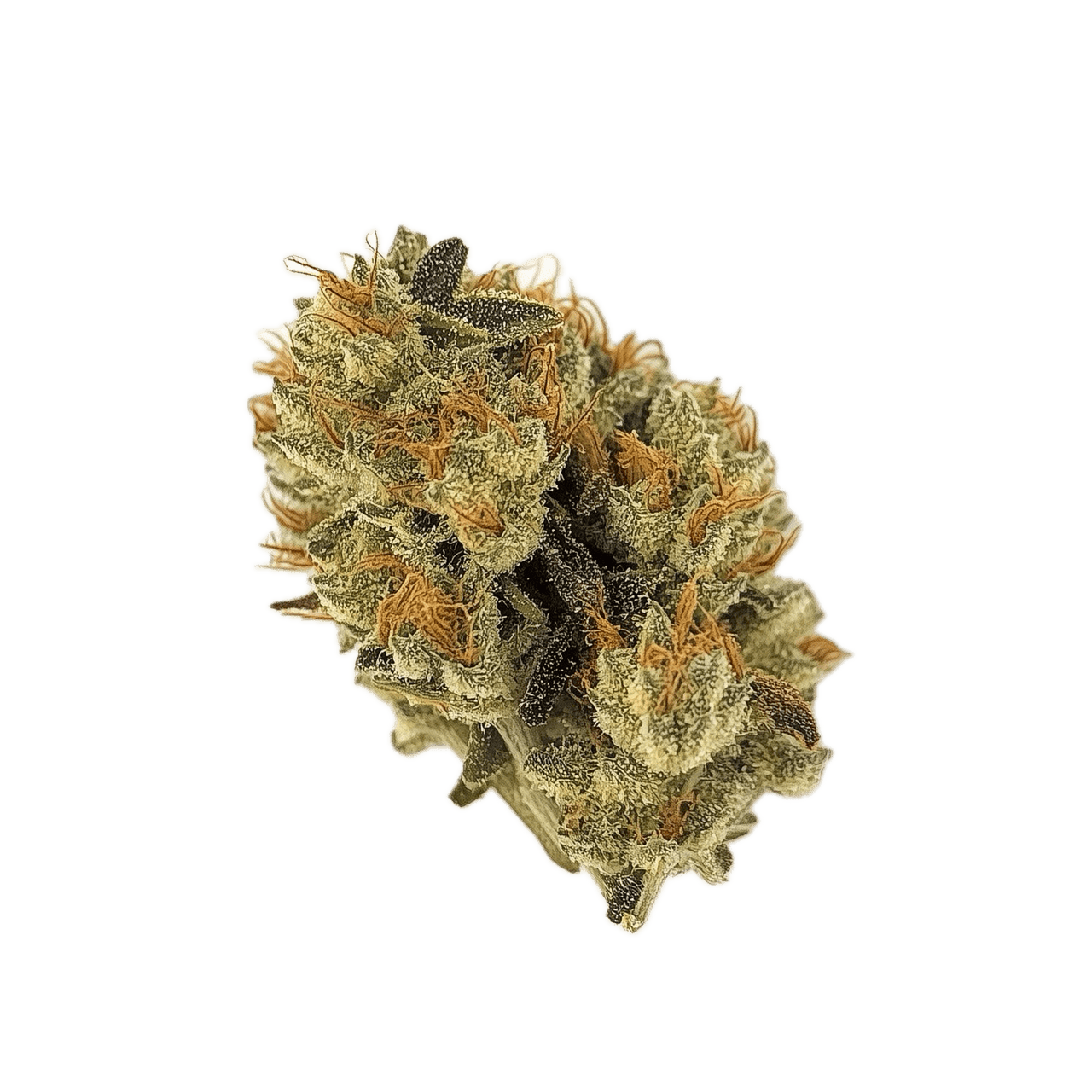 San Raf 27/1 PNK "Pink OG Kush"