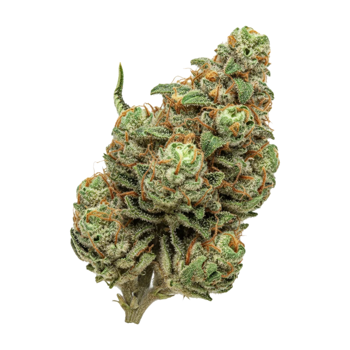 KI-generierte Illustration einer Cannabisblüte, zeigt nicht die tatsächliche Charge – Huala 25/1 JFL "Jack Flash"