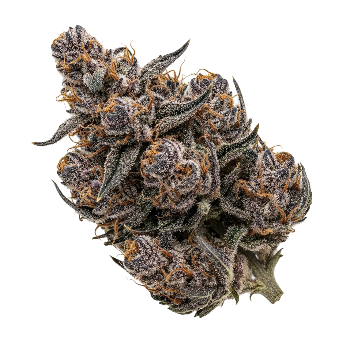 KI-generierte Illustration einer Cannabisblüte, zeigt nicht die tatsächliche Charge – Remexian Bud-Jet 21/1 SUS "Sunset Sherbet"