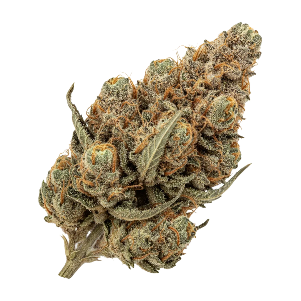 KI-generierte Illustration einer Cannabisblüte, zeigt nicht die tatsächliche Charge – 420 Evolution 27/1 SSK "Strawberry Skrilla"