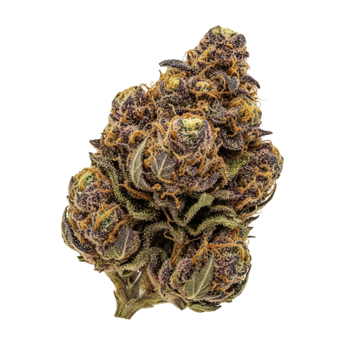 KI-generierte Illustration einer Cannabisblüte, zeigt nicht die tatsächliche Charge – Pedanios COS-CA "Cosmic Cream"