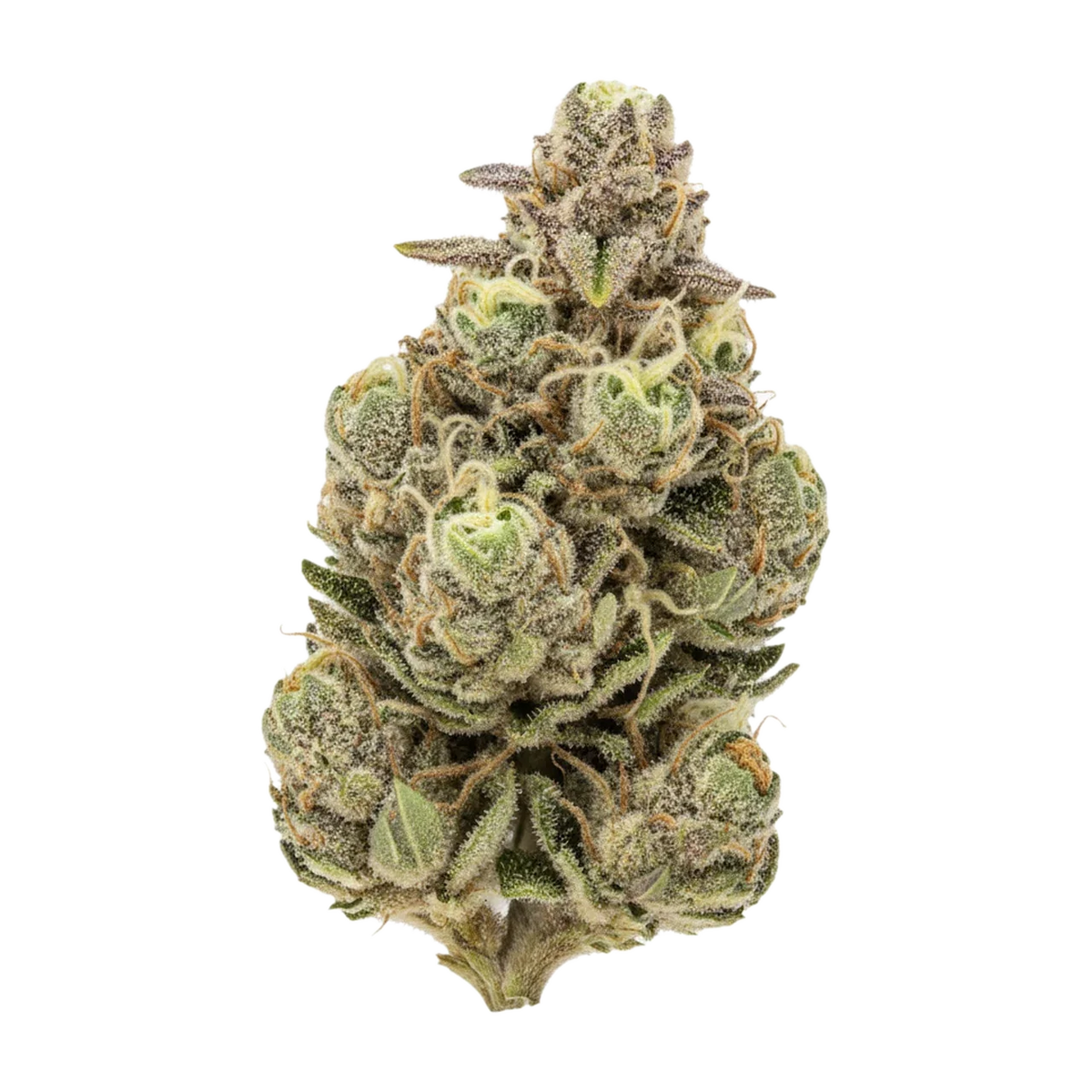 KI-generierte Illustration einer Cannabisblüte, zeigt nicht die tatsächliche Charge – Hi Society 27/1 MIM "Mimosa"
