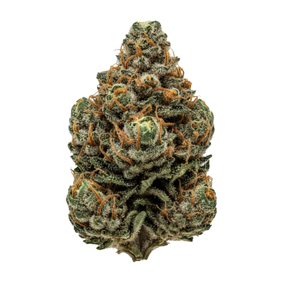 KI-generierte Illustration einer Cannabisblüte, zeigt nicht die tatsächliche Charge – Sumo PAB 25/1 "Papaya Bomb"