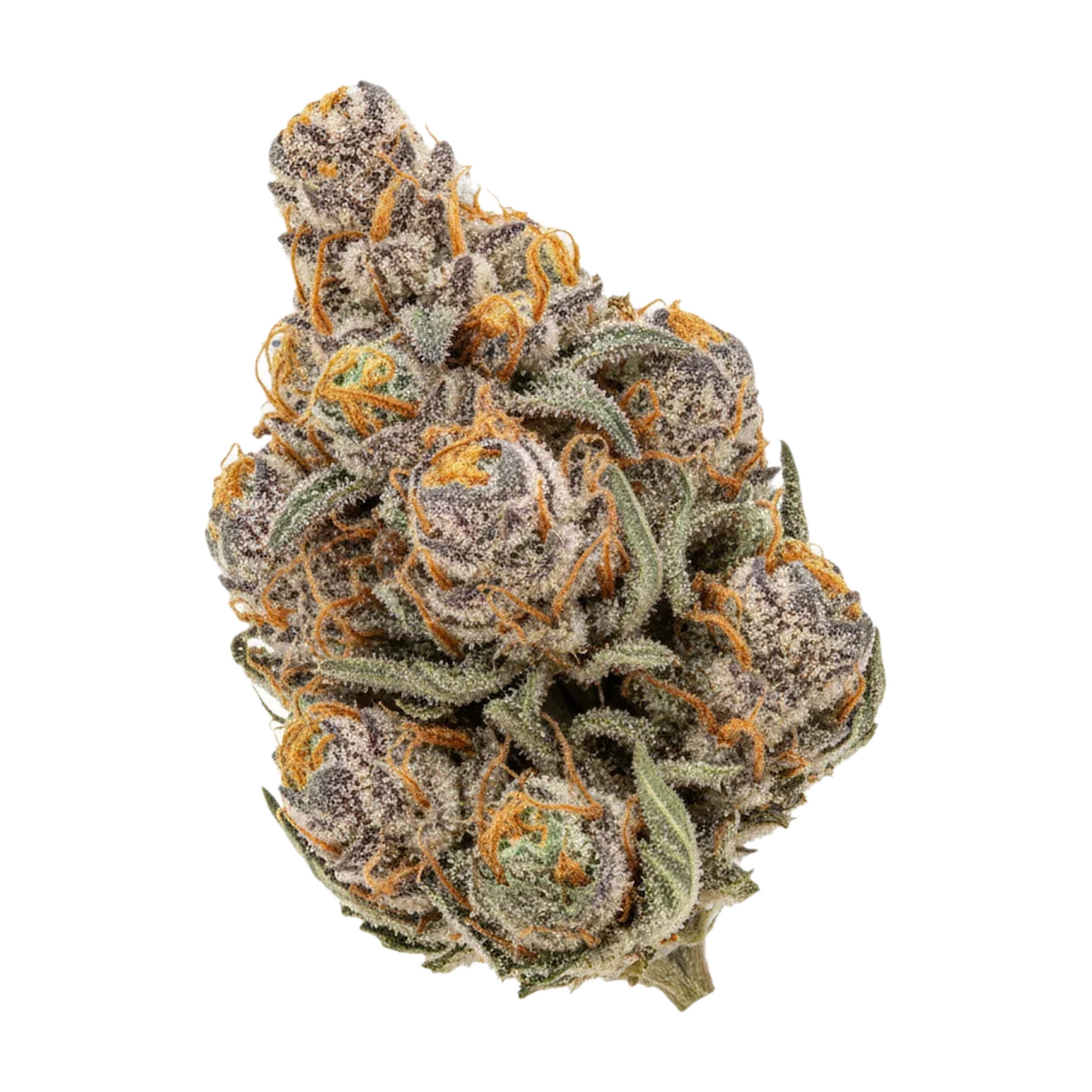 KI-generierte Illustration einer Cannabisblüte, zeigt nicht die tatsächliche Charge – Organic Sweetgrass 29/1 JJ "Juicy J"