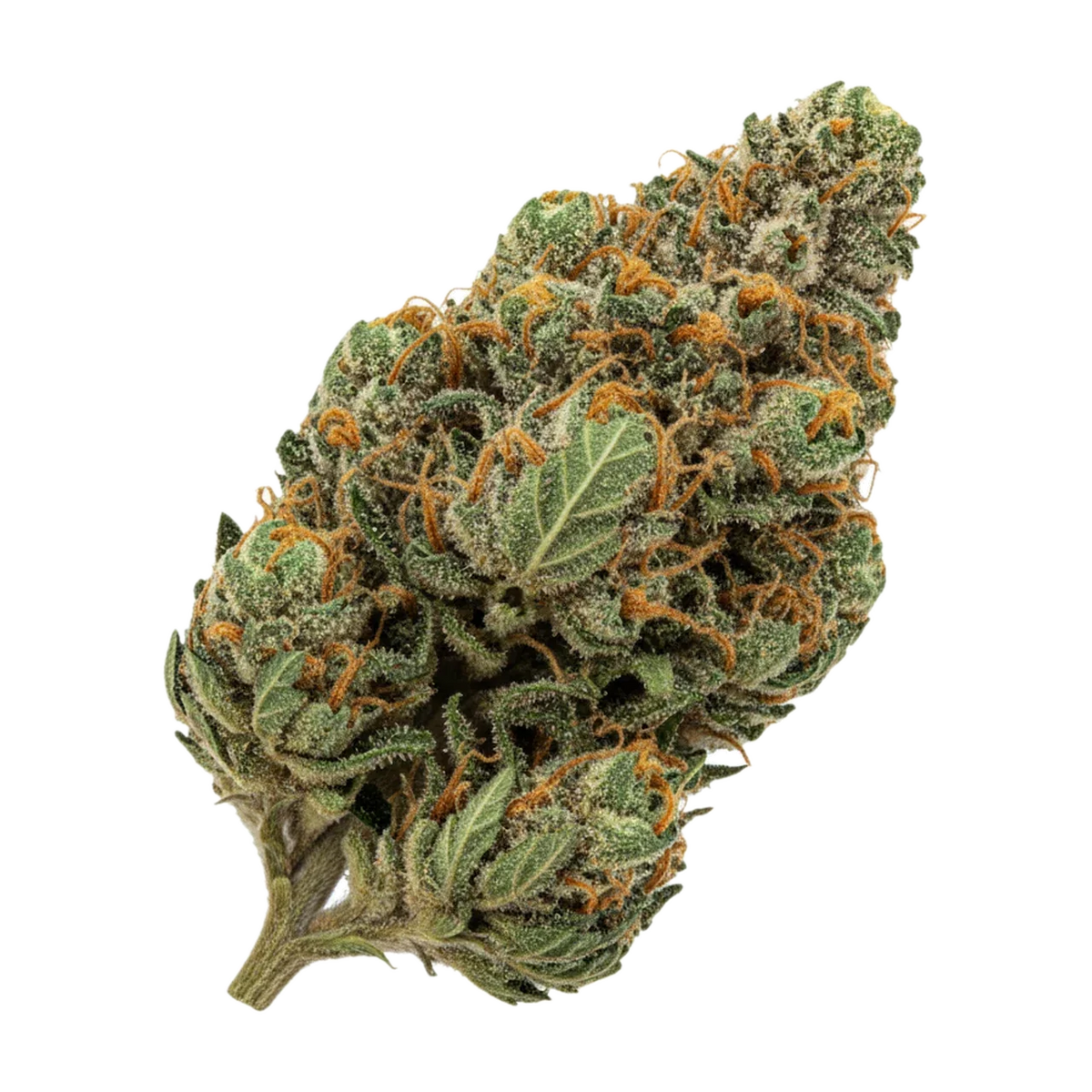 KI-generierte Illustration einer Cannabisblüte, zeigt nicht die tatsächliche Charge – TRUU HS 21/1 RG "Rainbow Dawg"