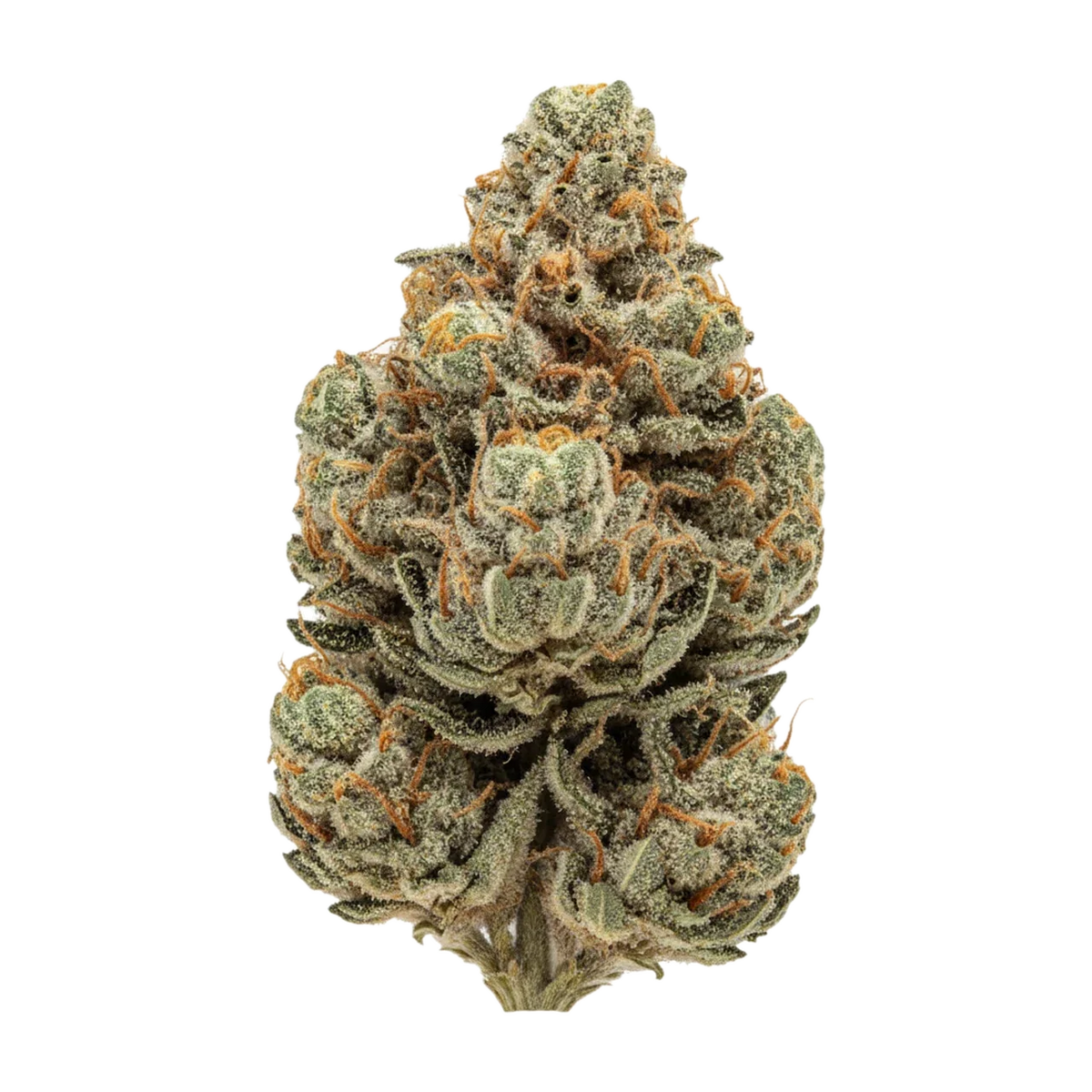KI-generierte Illustration einer Cannabisblüte, zeigt nicht die tatsächliche Charge – TRUU PS 24/1 "Critical 47"