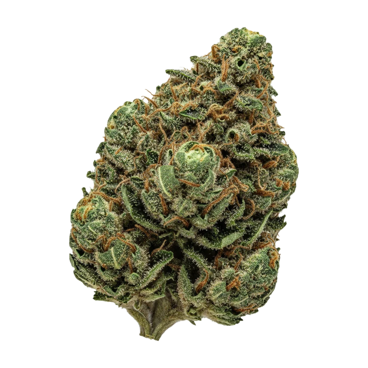 KI-generierte Illustration einer Cannabisblüte, zeigt nicht die tatsächliche Charge – ZOIKS 26/1 ALM "Alienmax"