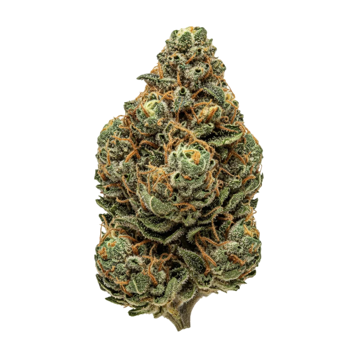 KI-generierte Illustration einer Cannabisblüte, zeigt nicht die tatsächliche Charge – Zoiks 18/1 AZZ "Azzai"