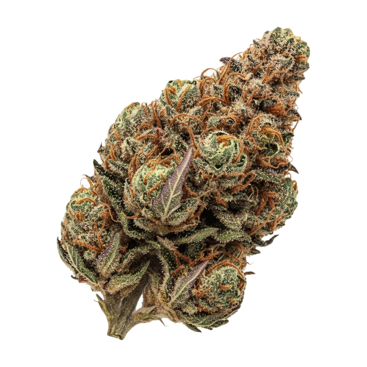 KI-generierte Illustration einer Cannabisblüte, zeigt nicht die tatsächliche Charge – ZOIKS TG "Tangrini"