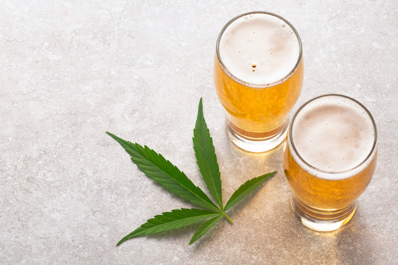 Cannabis und Alkohol: Was passiert beim Mischkonsum?
