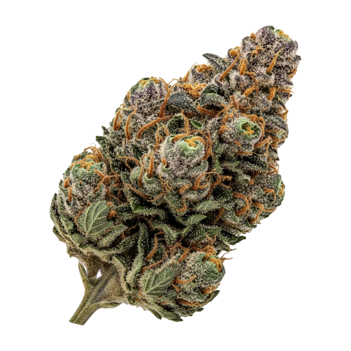 KI-generierte Illustration einer Cannabisblüte, zeigt nicht die tatsächliche Charge – 420 Compound TGY "Tigerz Eye"