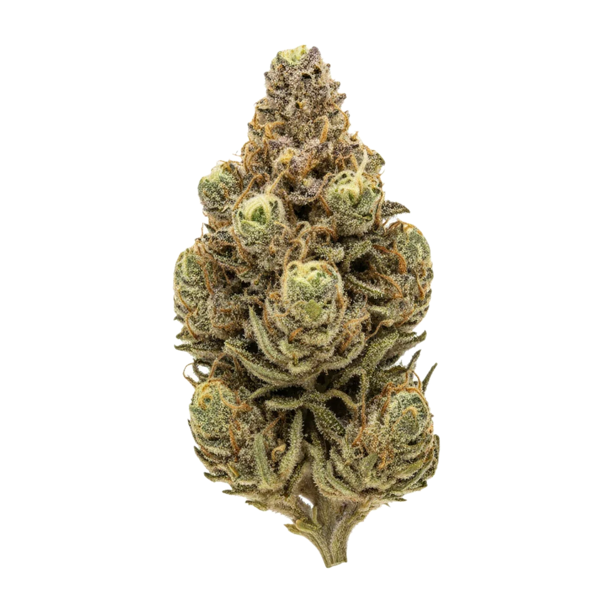 KI-generierte Illustration einer Cannabisblüte, zeigt nicht die tatsächliche Charge – 420 Compound CA PPE "Platinum Pavé"