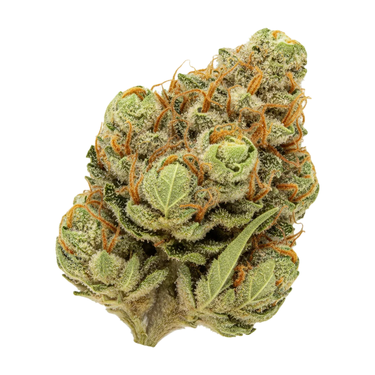 KI-generierte Illustration einer Cannabisblüte, zeigt nicht die tatsächliche Charge – 420 Evolution 22/1 MAC "MAC 1"