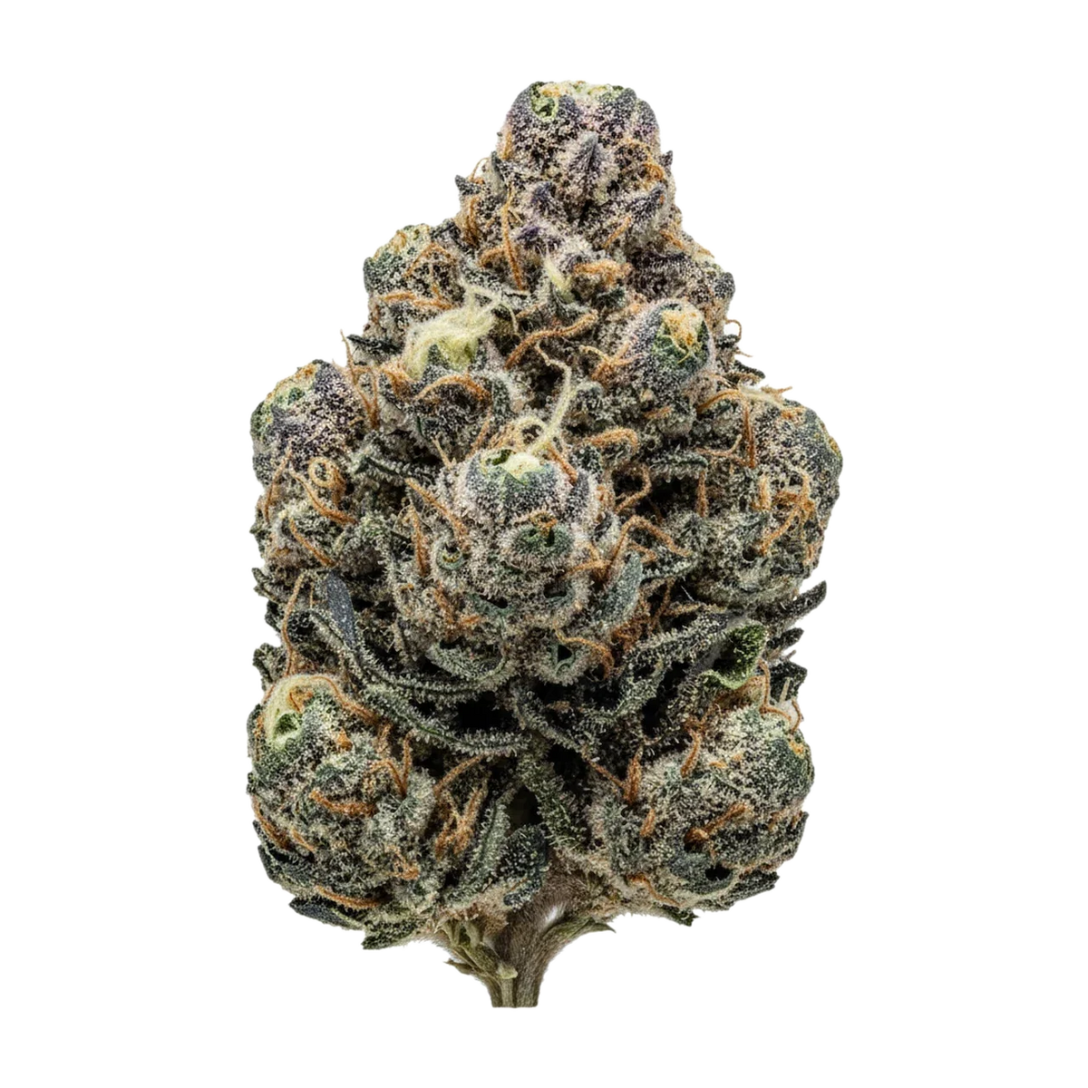 KI-generierte Illustration einer Cannabisblüte, zeigt nicht die tatsächliche Charge – 420 Natural GG4 "Gorilla Glue"