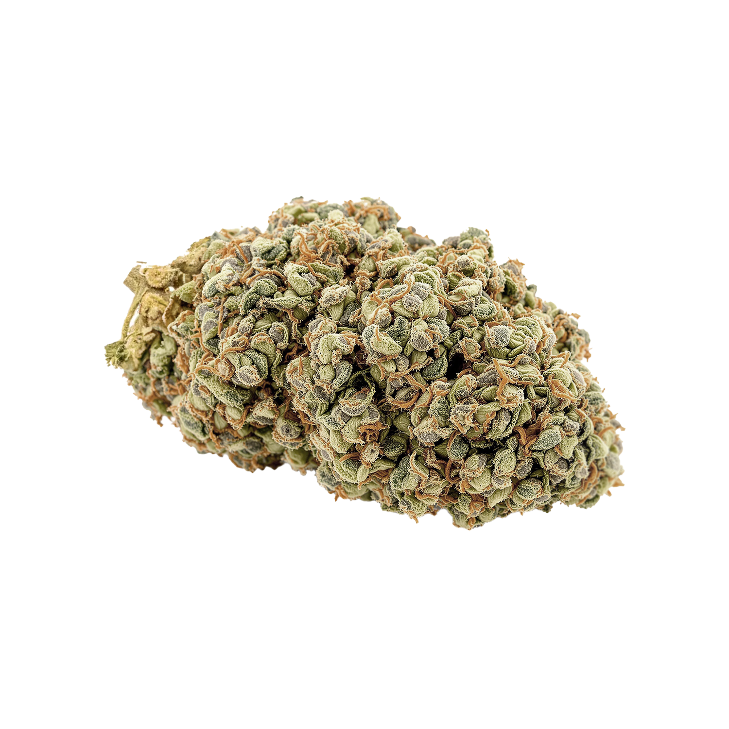 avaay Signature 28/1 GPM "Gun Powder Milkshake"