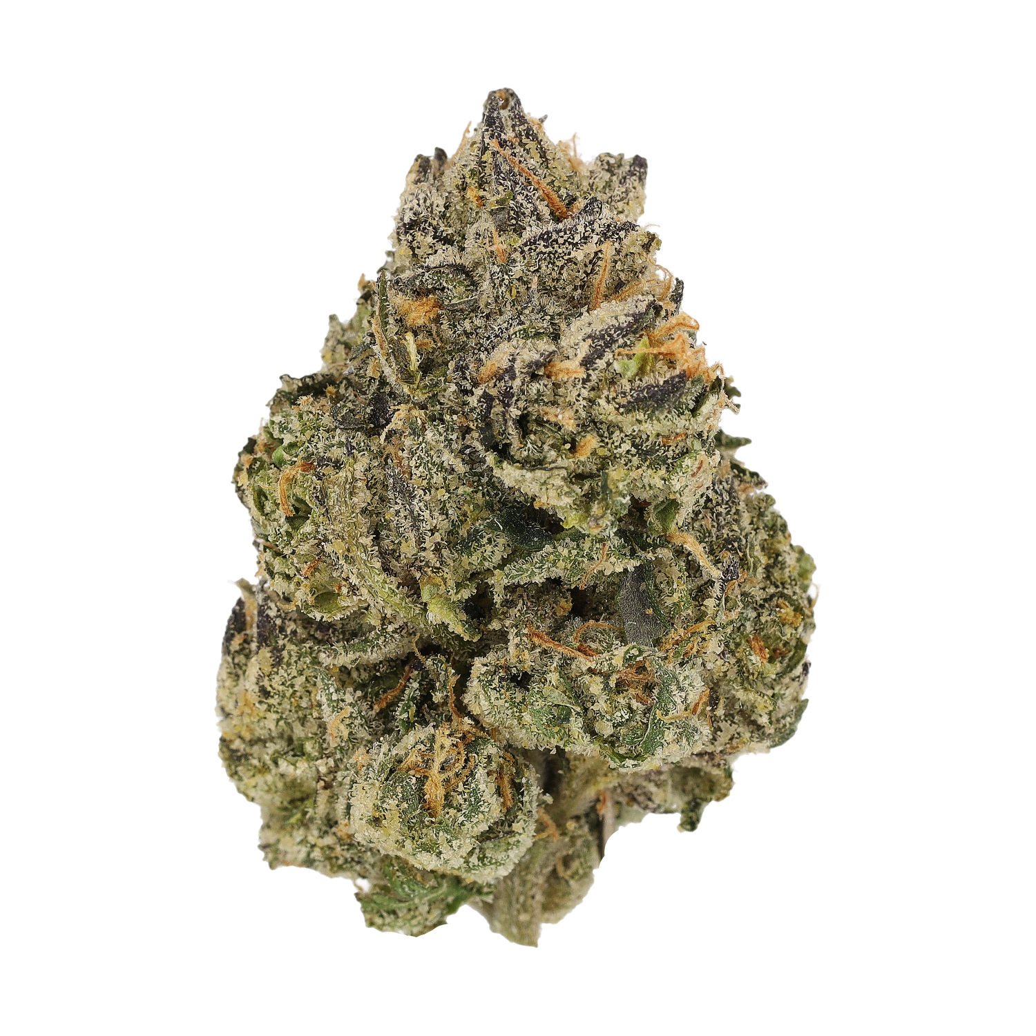 Cannamedical CM Craft 28/1 "Midnight Lotus"