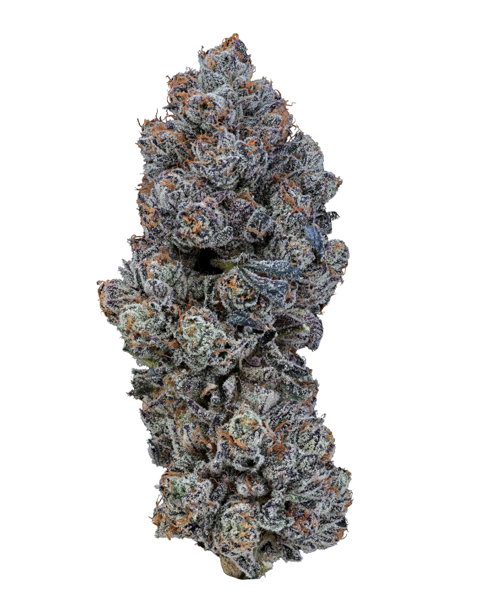 IUVO 24/1 OC "Neutronium"