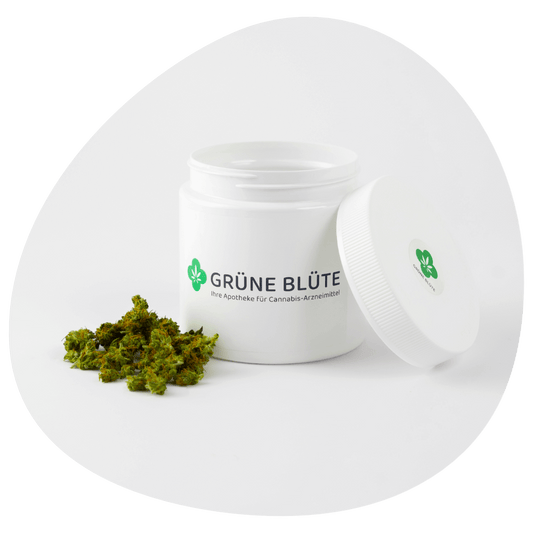 Cannamedical Sativa Forte NM 24/1 "Wedding Tree"