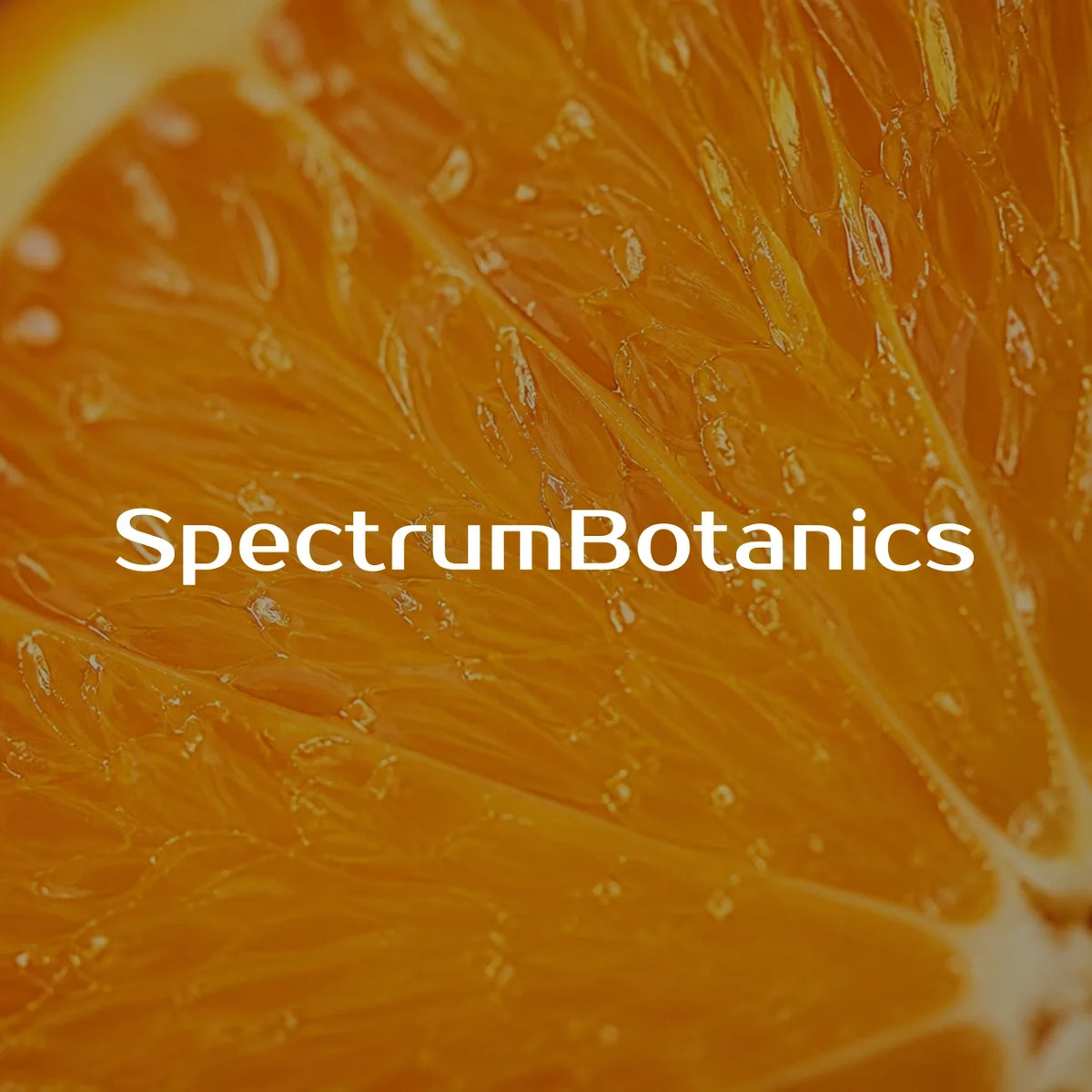 KI-generiertes Bild: SpectrumBotanics – Orange