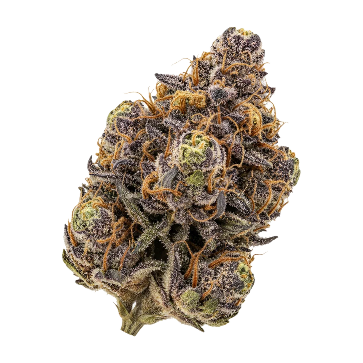 KI-generierte Illustration einer Cannabisblüte, zeigt nicht die tatsächliche Charge – Aleph Amber 26/1 "Mango Kush"