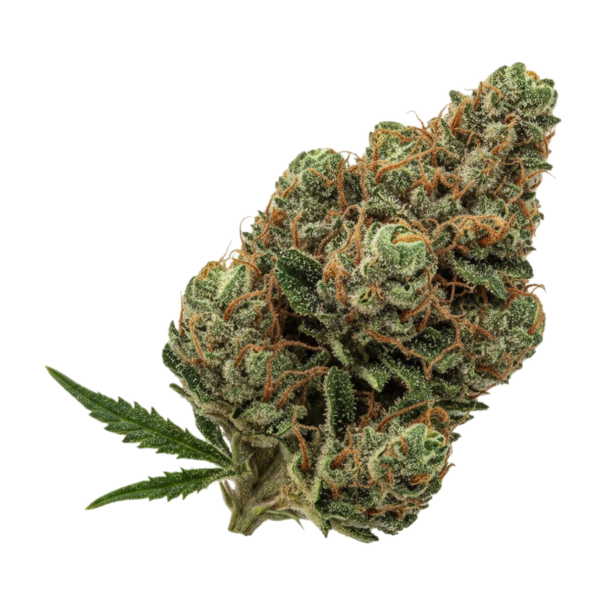 KI-generierte Illustration einer Cannabisblüte, zeigt nicht die tatsächliche Charge – avaay PNK "Pineapple Nuken"