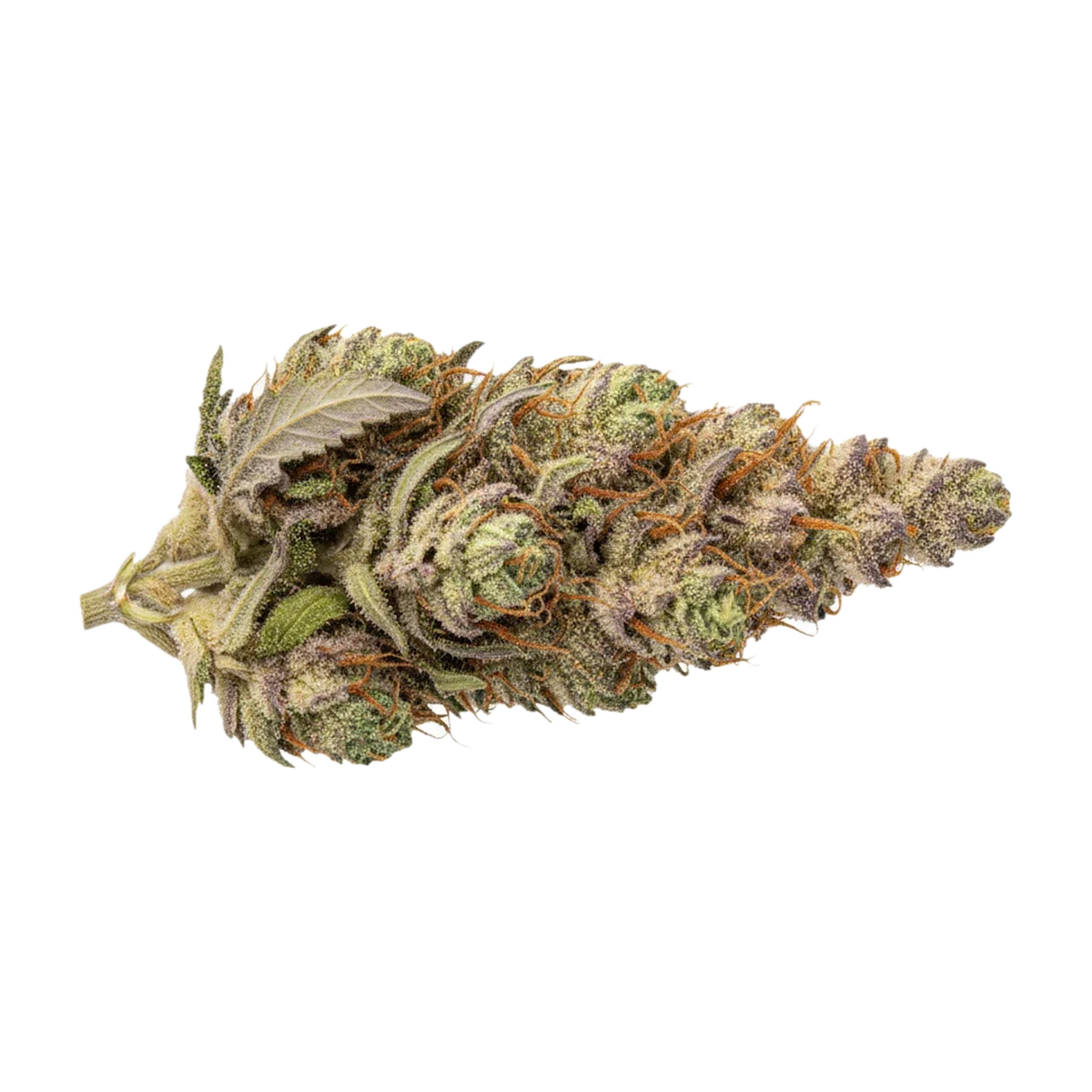 KI-generierte Illustration einer Cannabisblüte, zeigt nicht die tatsächliche Charge – avaay SB "Sunset Berries"