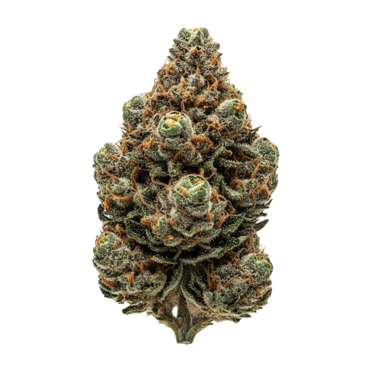 KI-generierte Illustration einer Cannabisblüte, zeigt nicht die tatsächliche Charge – avaay 23/1 CK "Critical Kush"