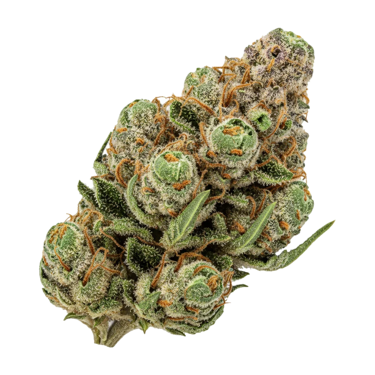 KI-generierte Illustration einer Cannabisblüte, zeigt nicht die tatsächliche Charge – avaay JFP "Jet Fuel Pie"