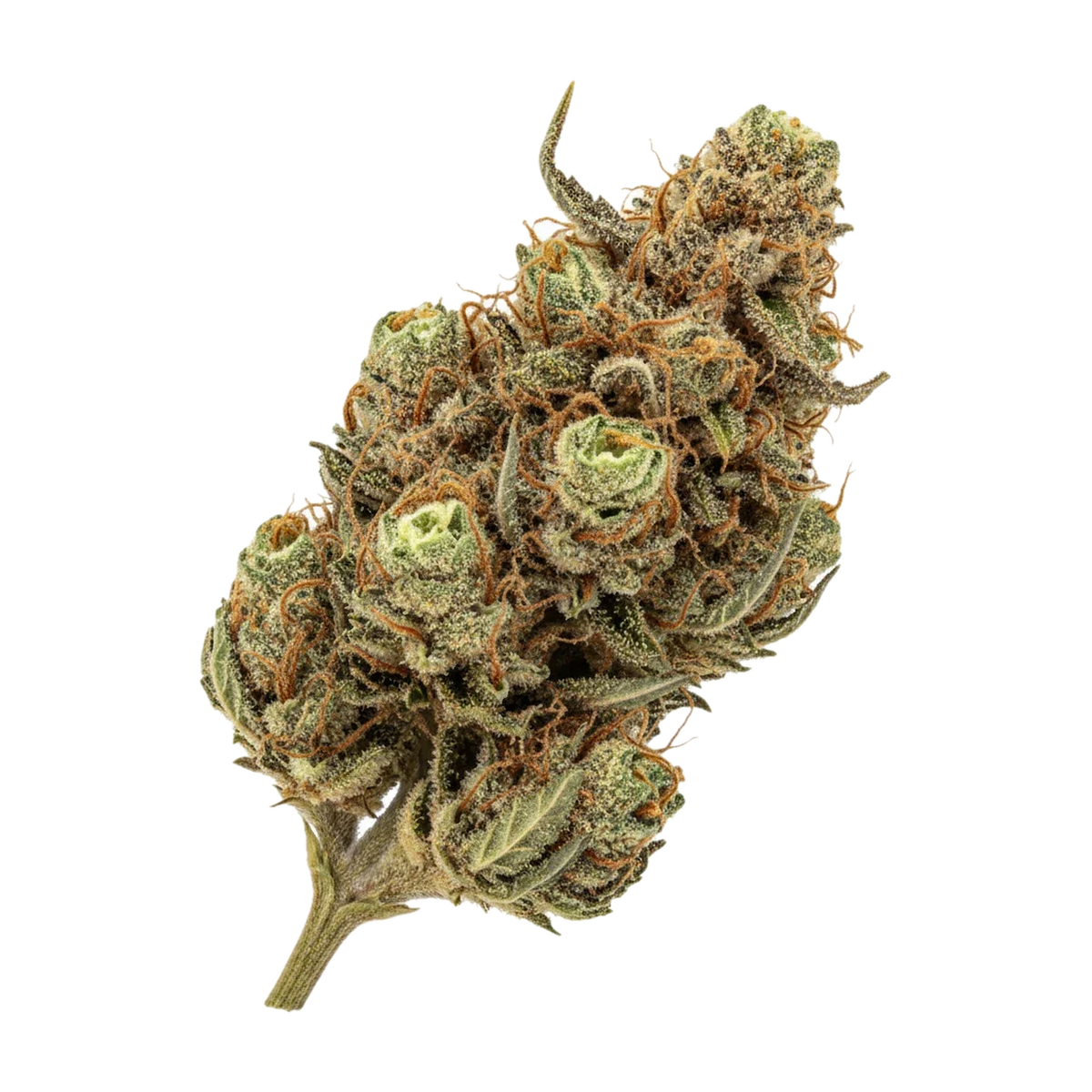 KI-generierte Illustration einer Cannabisblüte, zeigt nicht die tatsächliche Charge – avaay 32/1 AHC "Amnesia Haze Cake"