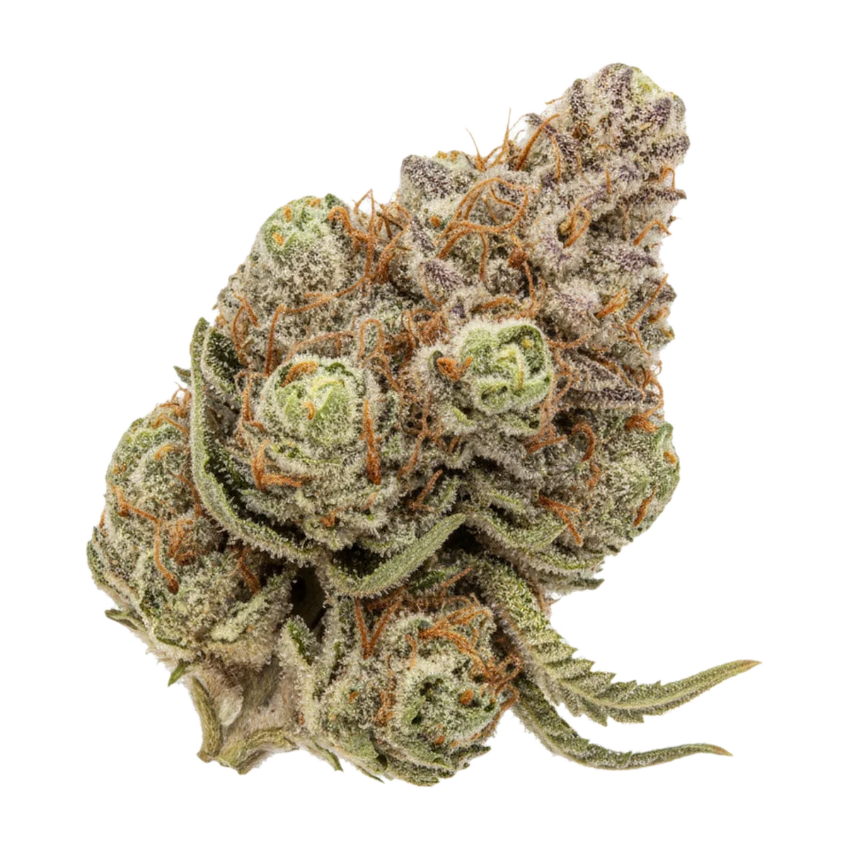 KI-generierte Illustration einer Cannabisblüte, zeigt nicht die tatsächliche Charge – avaay Simple 25/1 CRE "Creamy Kee's No.5"